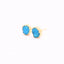 Turquoise & Gold Round Druzy Earrings