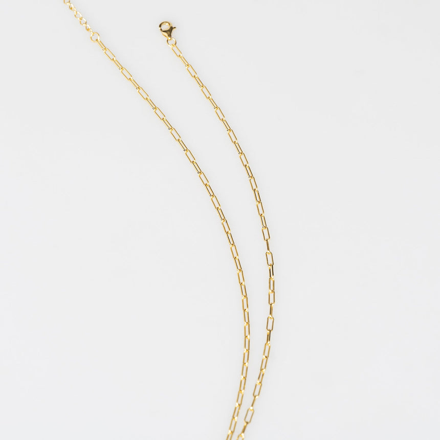 Gold Plated Paper Chain Turquoise Tortoise Shell Fish Charm Necklace